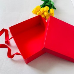 25x25x10 Karton Taşıma Kutusu 