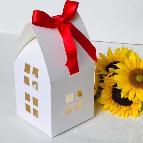 Karton Kutu Ev Tasarım