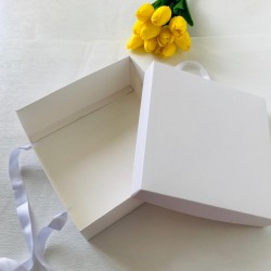 21x21x8 Karton Taşıma Kutusu